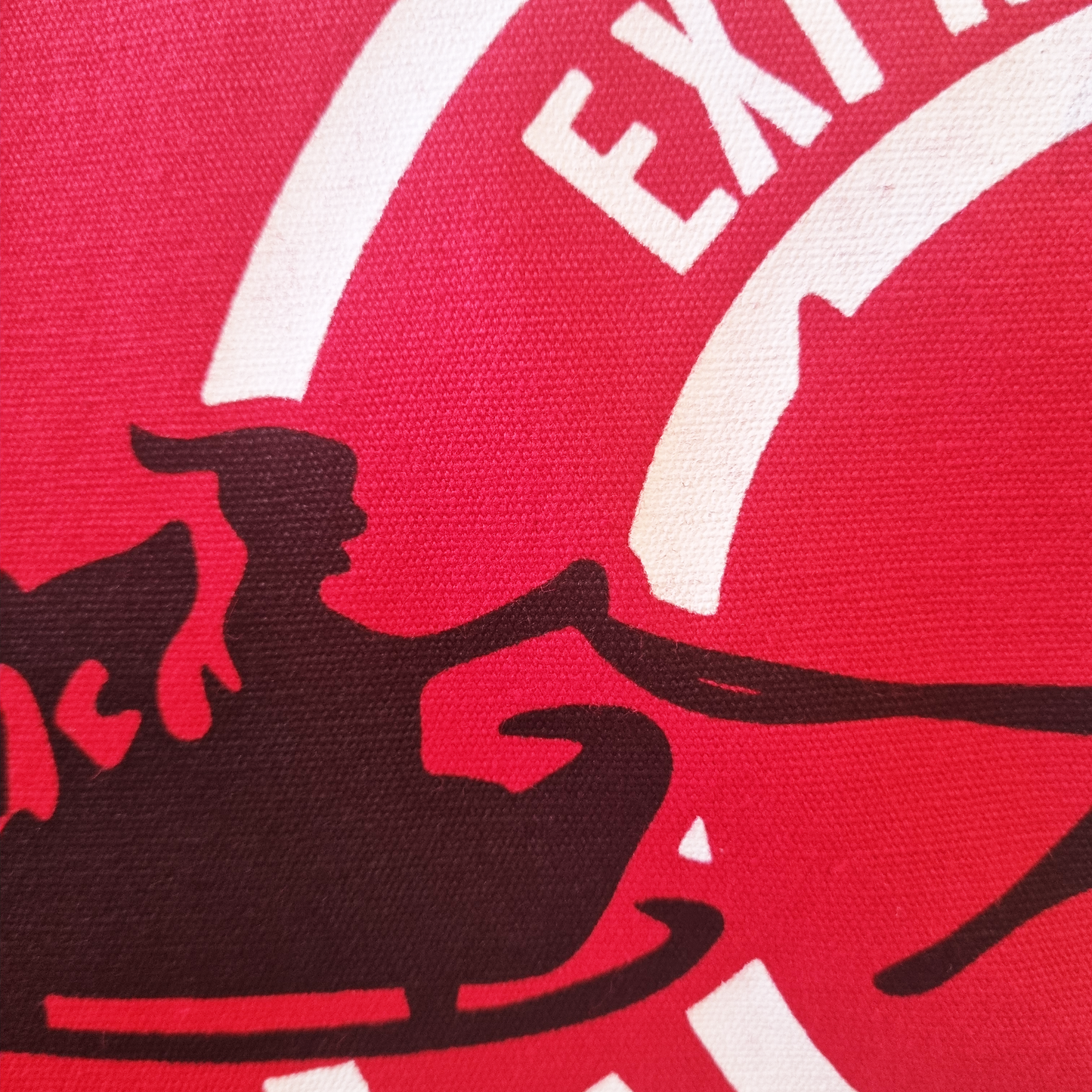 Custom Canvas Red Santa Sleigh.